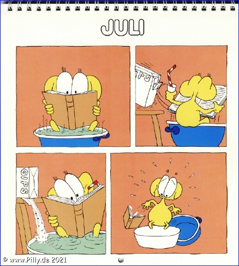 Der Schlerkalender 1987 Juli Pillhuhn Fubad, lesen, Gips