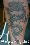 Tattoo Outlines Drache von Ed Hardy an der Wade